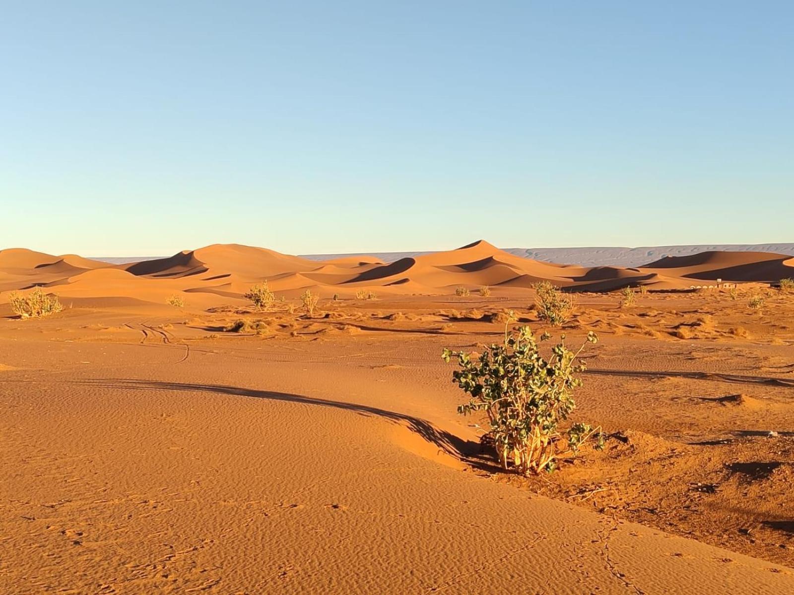 Camp Desert Bivouac Chegaga El Gouera Esterno foto