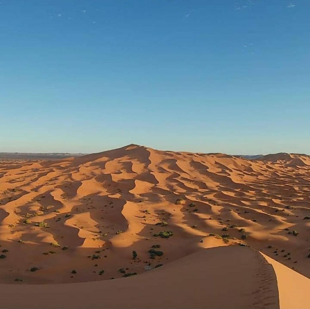 Camp Desert Bivouac Chegaga El Gouera Esterno foto