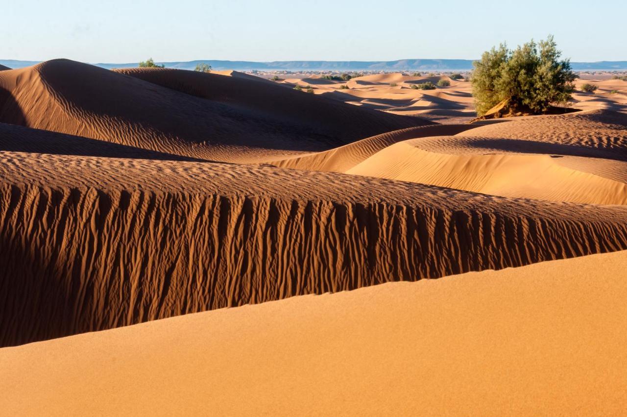 Camp Desert Bivouac Chegaga El Gouera Esterno foto